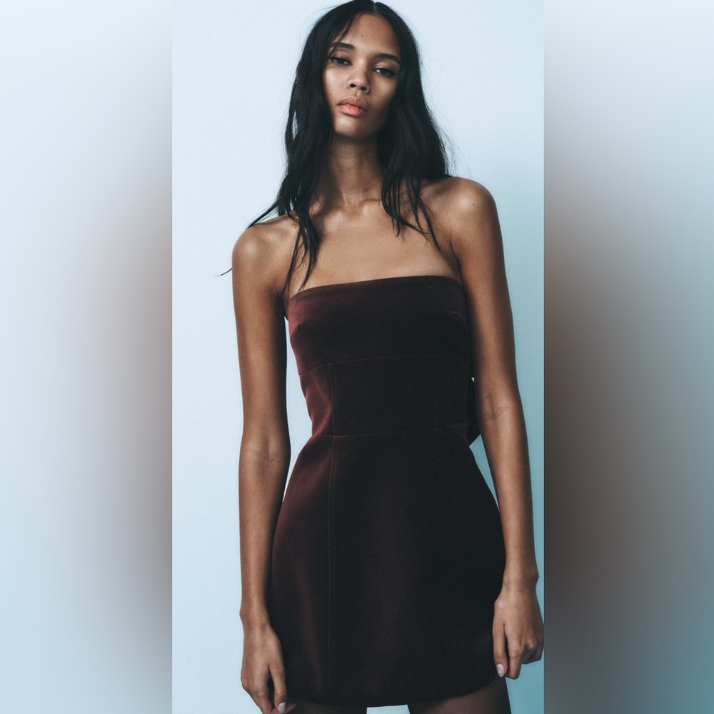 ZARA Viral Bow Dress